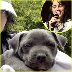 Billie Eilish ist ein „Foster Fail“, als sie einen Welpen während der Quarantäne adoptiert | Billie Eilish, Promi-Haustiere