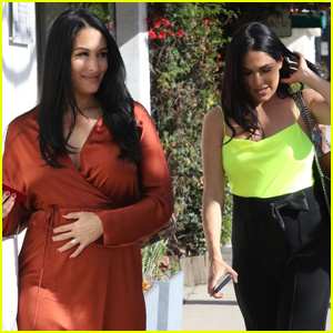 Nikki & Brie Bella, 그들의 '가장 큰' 임신 갈망 공개 | Brie Bella, Nikki Bella, 임신한 유명인
