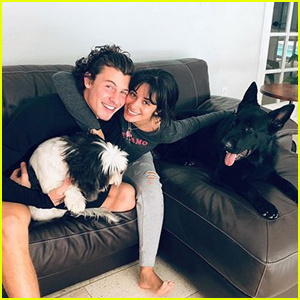 Camila Cabello împărtășește o fotografie drăguță cu Shawn Mendes și câinii ei! | Camila Cabello, Shawn Mendes