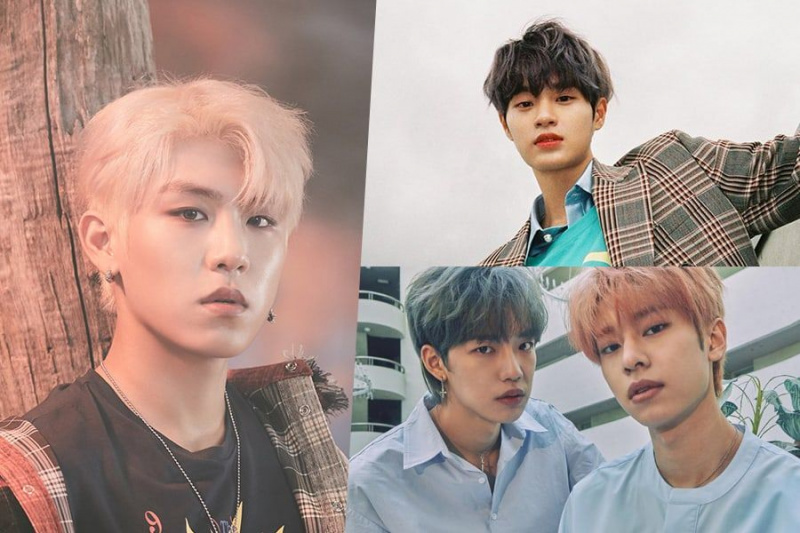 Park Woo Jin dzieli się swoimi pierwszymi wrażeniami o Lee Dae Hwi, Lim Young Min i Kim Dong Hyun