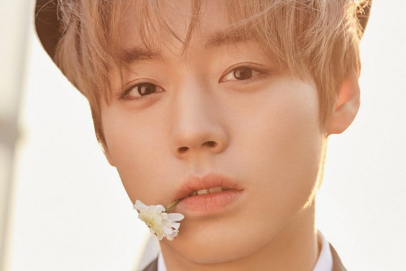 Park Ji Hoon Potansiyel Wanna One Reunion + Yaklaşan Solo Çıkışı Üzerine Düşüncelerini Paylaştı