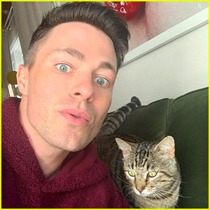 Colton Haynes adoptuje Cata a pomenuje ho na počesť Timotheeho Chalameta