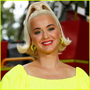 Katy Perry piange la morte del suo gatto Kitty Purry | Animali domestici famosi, Katy Perry, RIP
