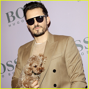 Orlando Bloom Mengatakan Anjing Perkasa Masih Tersesat Adalah 'Mimpi Buruk' | Hewan Piaraan Selebriti, Orlando Bloom