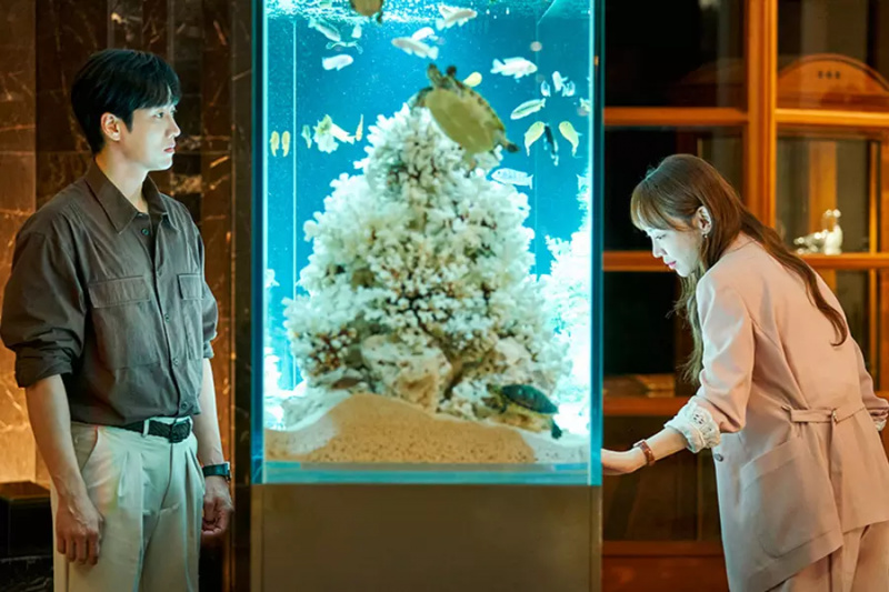 Shin Hye Sun en Ahn Bo Hyun hebben een romantische noodlottige reünie in 'See You In My 19th Life'