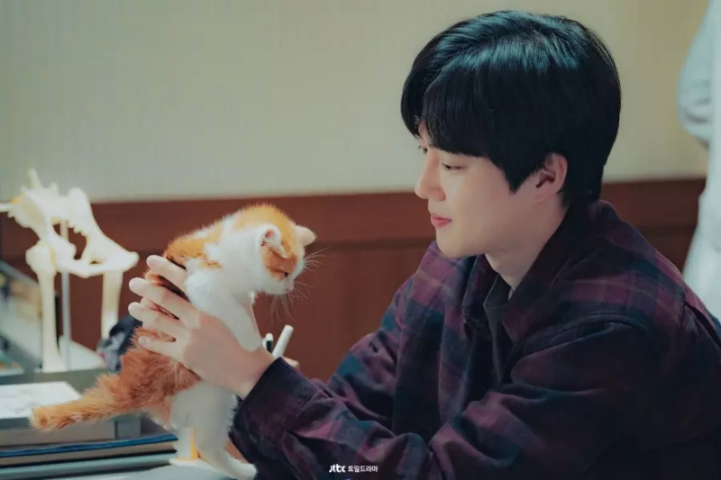 EXO Suho on salapärane mees, kes varastab Han Ji Mini südame uues draamas 'Teie puudutuse taga'