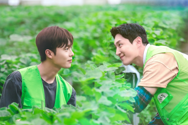 Mira: Do Won troba la pau a Yoon Do Jin i al camp en teasers per al proper drama BL de l'equip 'Semantic Error'