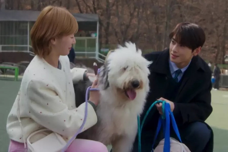 4 لحظات أخيرة أنهت الحلقة 14 من 'A Good Day To Be A Dog'