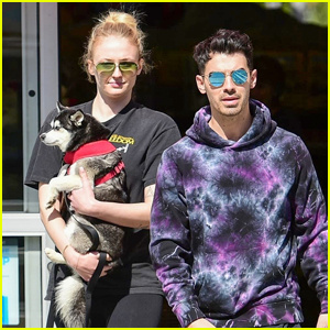 Sophie Turner는 Joe Jonas와 외출하는 동안 강아지 포키를 안고 아기 범프를 덮었습니다.
