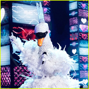 หงส์ถูกเปิดโปง'The Masked Singer' - See Who It Was Here!
