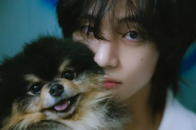 Papan Iklan Membetulkan Global Excl. Carta A.S. Untuk Memasukkan 'Slow Dancing' V BTS dalam 10 Teratas