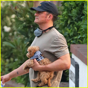 オーランド・ブルームは、娘の誕生を待っている間、ケイティ・ペリーの犬のナゲットを散歩に連れて行きます。オーランド・ブルーム