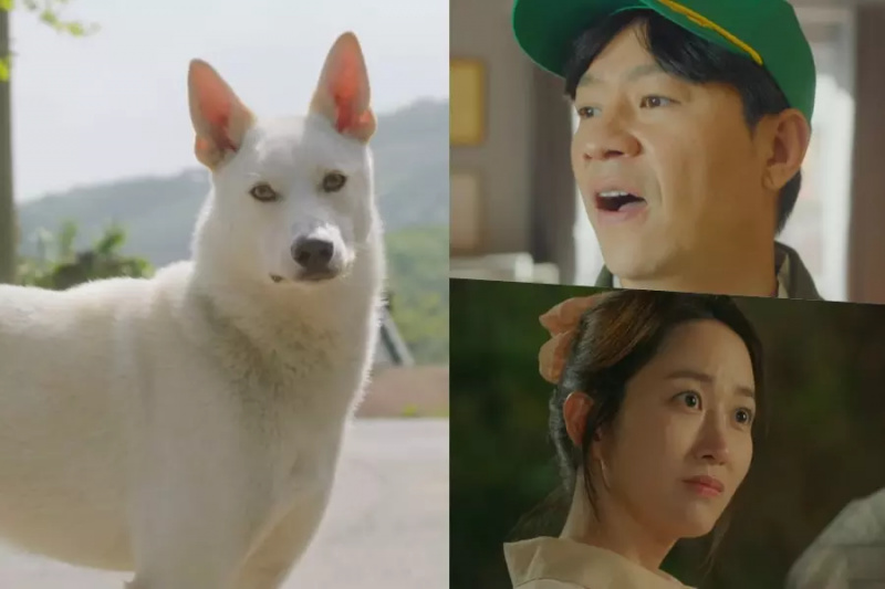 Anschauen: Jung Sang Hoon und Jeon Hye Bin navigieren im Teaser zur Comedy-Dramaserie „The Pork Cutlets“ wegen eines Hundes durch das Dorfchaos