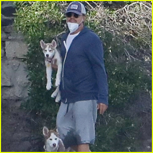 Leonardo DiCaprio tar Camila Morrones fosterhundar Jack & Jill för promenad på stranden | Leonardo DiCaprio