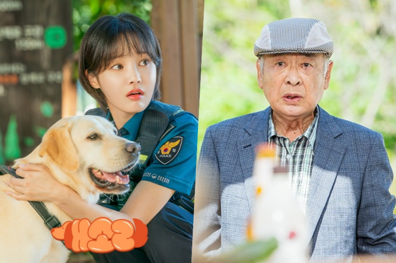'Dog Knows Everything' continua corrida solitária de classificações