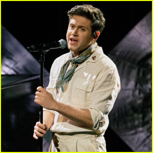 Niall Horan cancel·la el seu'Nice To Meet Ya' World Tour: 'This Was A Difficult Decision'