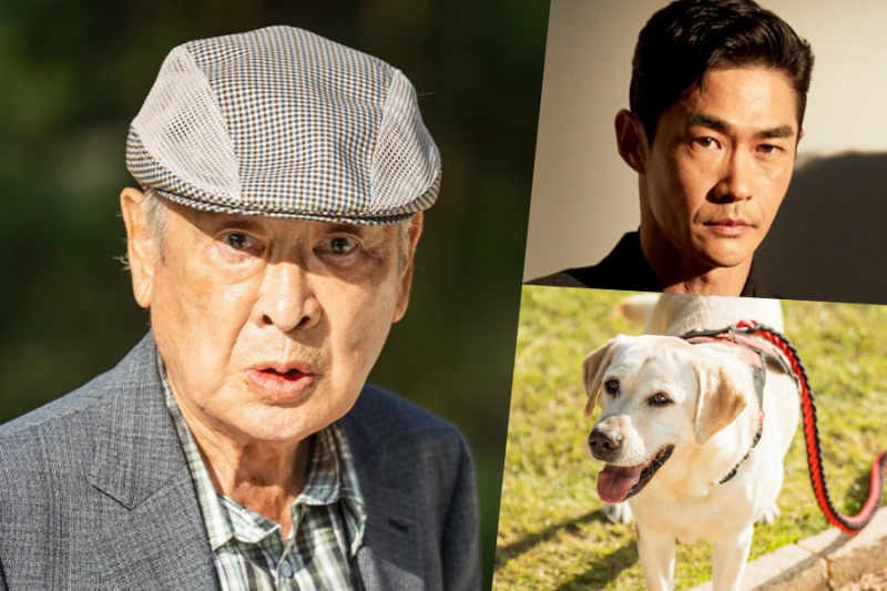 Lee Soon Jae Berdiri Berjauhan Daripada Anjing Misteri Disuarakan Oleh Bae Jung Nam Dalam Drama Baru “Dog Knows Everything”