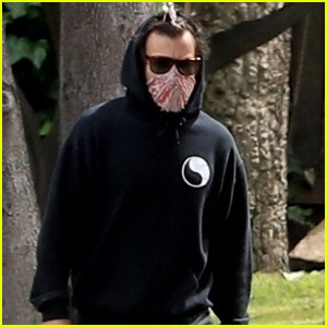 Harry Styles gre na sprehod, potem ko je trčil v Kendall Jenner | Harry Styles