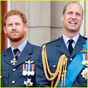 De gevechten tussen Prins William en Prins Harry gingen vaak over geld | Prins Harry, Prins William