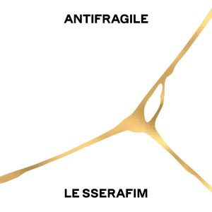   Obrázek ANTIFRAGILE