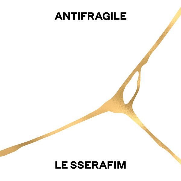   صورة ANTIFRAGILE