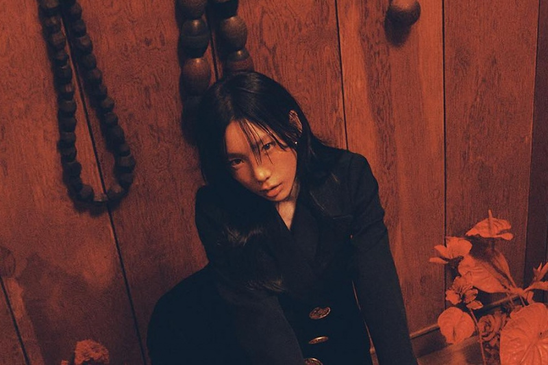 Taeyeon do Girls 'Generation descreve que tipo de artista sênior ela espera ser